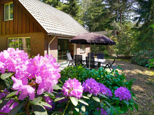 Een weekend in Twente: rust, ruimte, natuur en privé wellness op Villapark Eureka